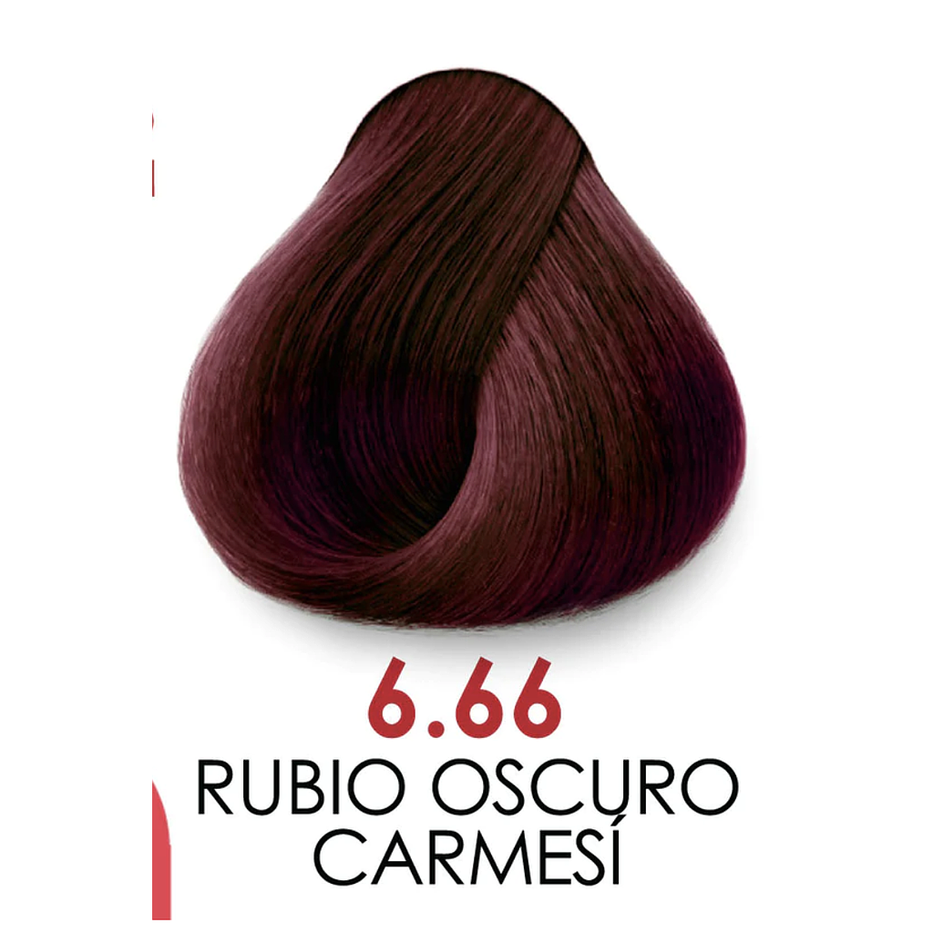 Xiomara - TINTE 300 Sin Amoniaco 6.66 Rubio Oscuro Carmesi
