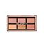 Profusion Blush Palette I