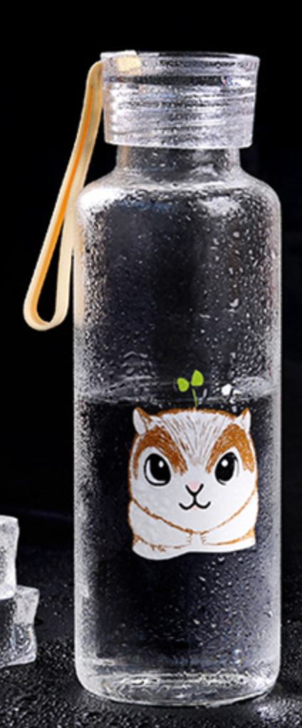 Botella Vidrio Believe You Can Ardilla