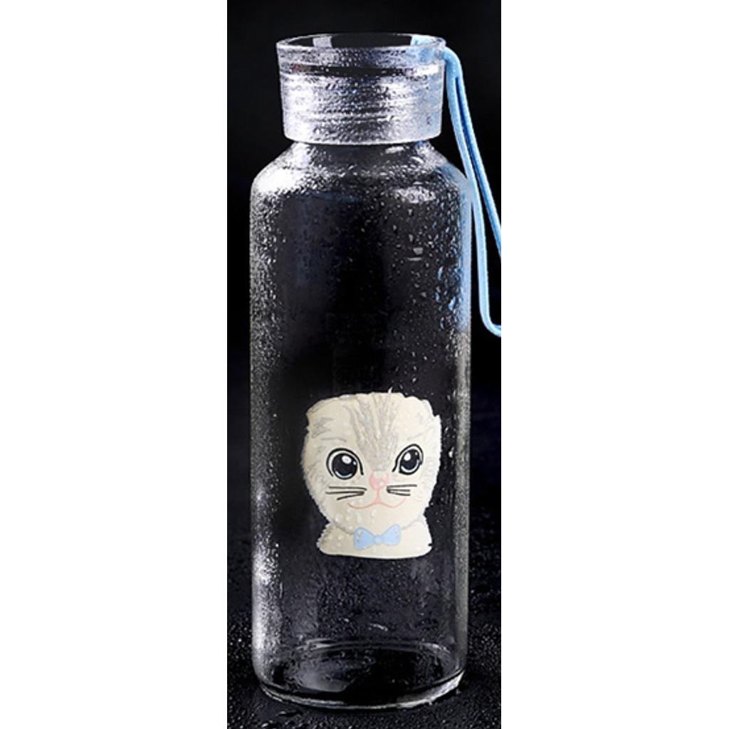 Botella Vidrio Believe You Can Cat