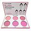 City Color- Blush Palette