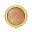 Physicians Formula - Bronze Booster Light to Medium