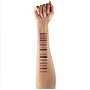 Beauty Creations - Delineador de Labios de Madera Display 192 Unidades