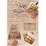 Sas - Corrector en Crema 6 Unidades SAF024A