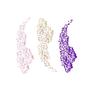 L.A. Girl - 3pc Glitter Face & Body Gift Set Twinkle & Glow G43388