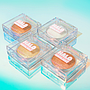 Kara Beauty - Halo Highlight