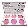 City Color- Blush Palette